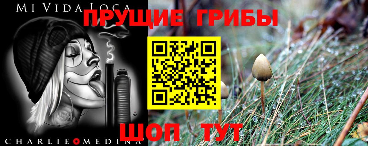 Псилоцибиновые грибы прущие грибы  Вход с VPN  Псилоцибиновые грибы мухоморы  Грозный 